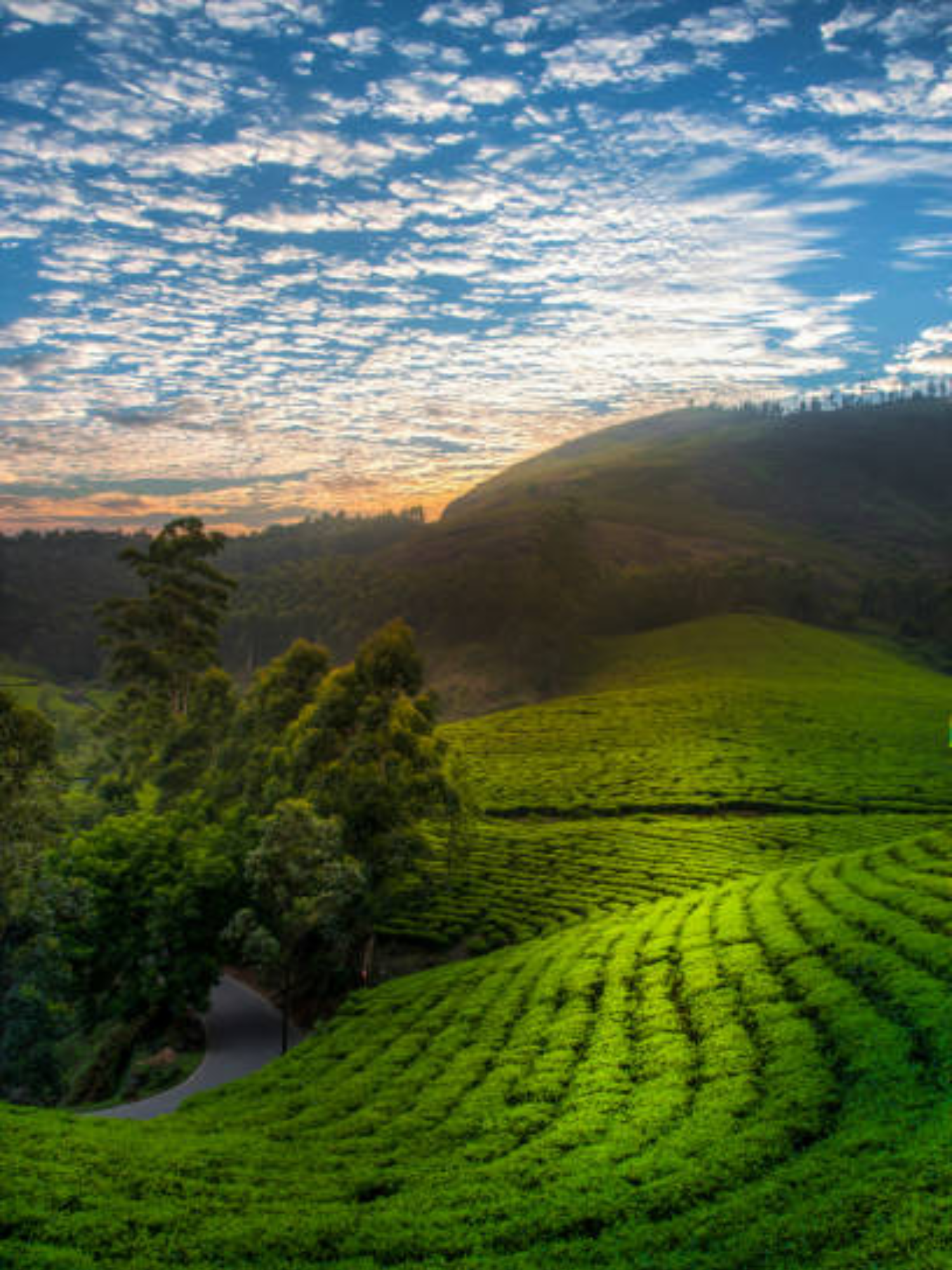 Munnar